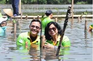 Mangrove 3